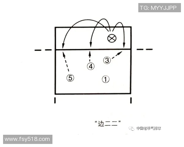 排球新手必看从零起步掌握完美配合技巧与战术解析