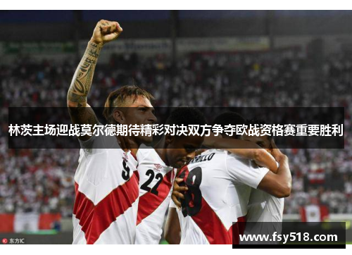 林茨主场迎战莫尔德期待精彩对决双方争夺欧战资格赛重要胜利