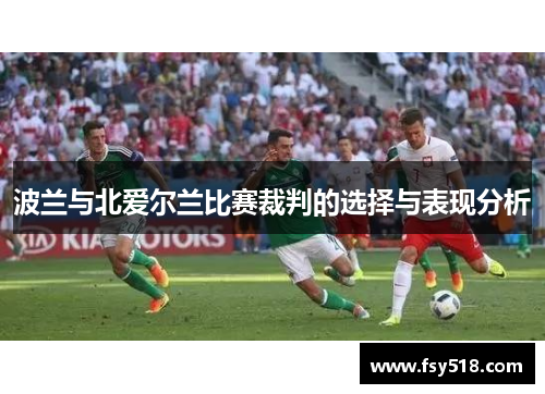 波兰与北爱尔兰比赛裁判的选择与表现分析