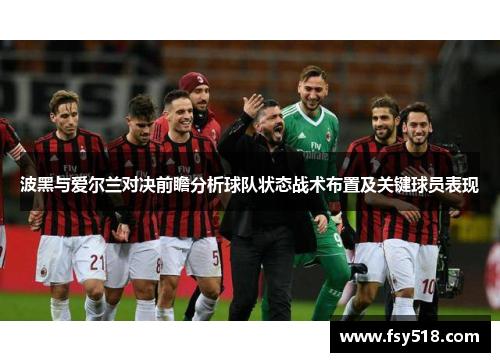 波黑与爱尔兰对决前瞻分析球队状态战术布置及关键球员表现