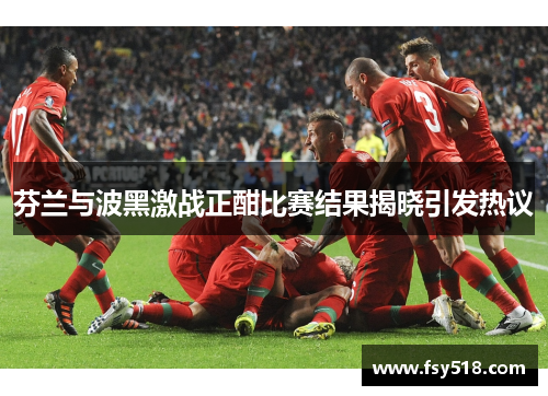 芬兰与波黑激战正酣比赛结果揭晓引发热议